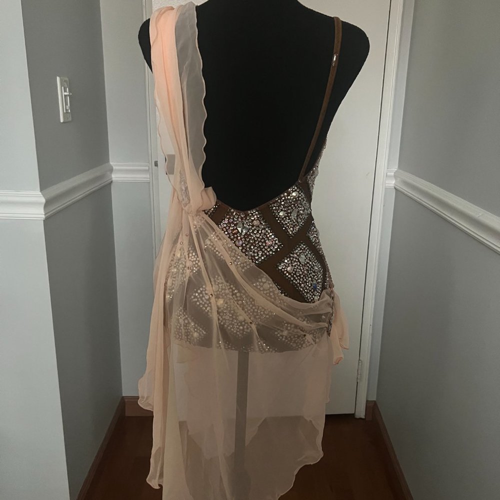 Latin Ballroom Dance Dress - Picture 12 of 16